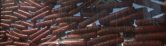 Hot Dog City